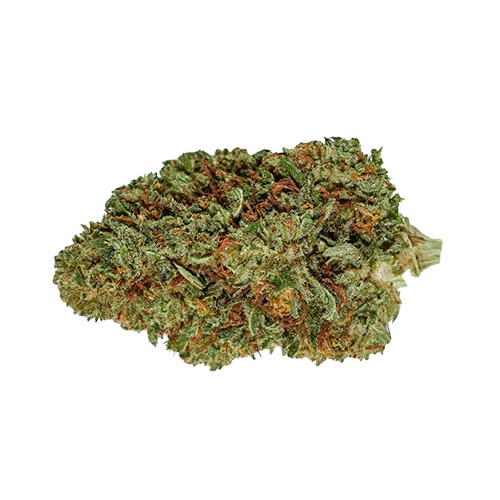 Flor cbd mango haze glasshouse